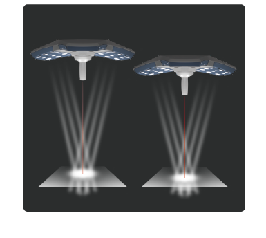 Lampra L5 quirurgica comen L5